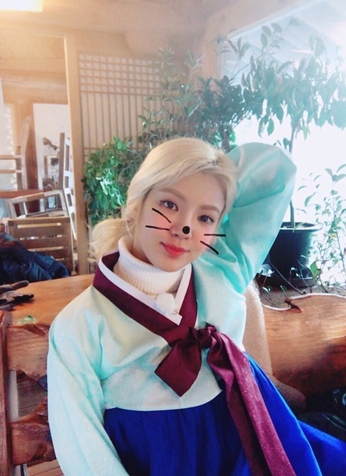 sao han don nam moi anh 6