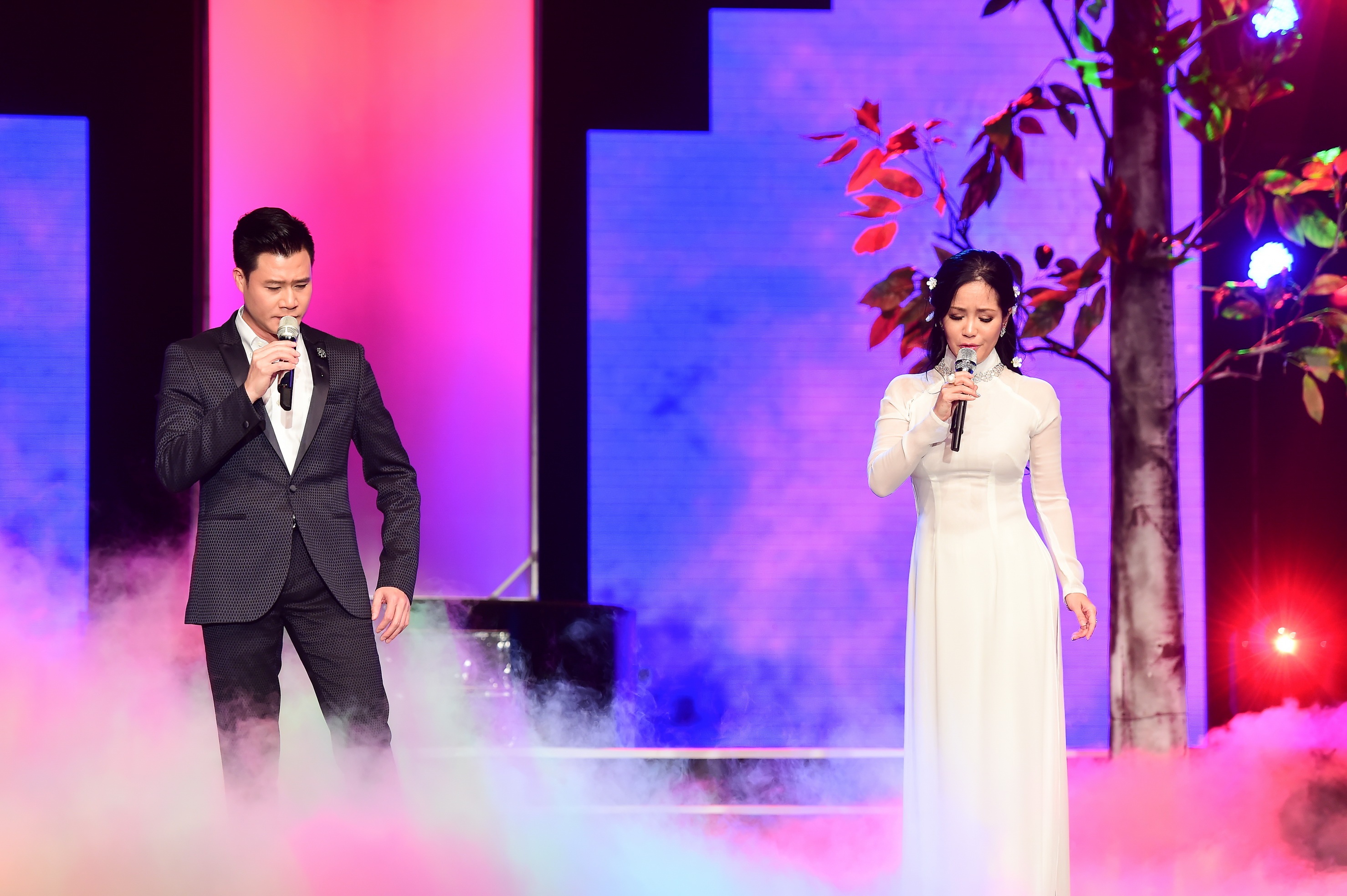 hong nhung hat nhac trinh cong son anh 2