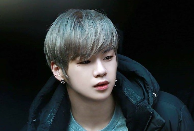 kang daniel den viet nam anh 1
