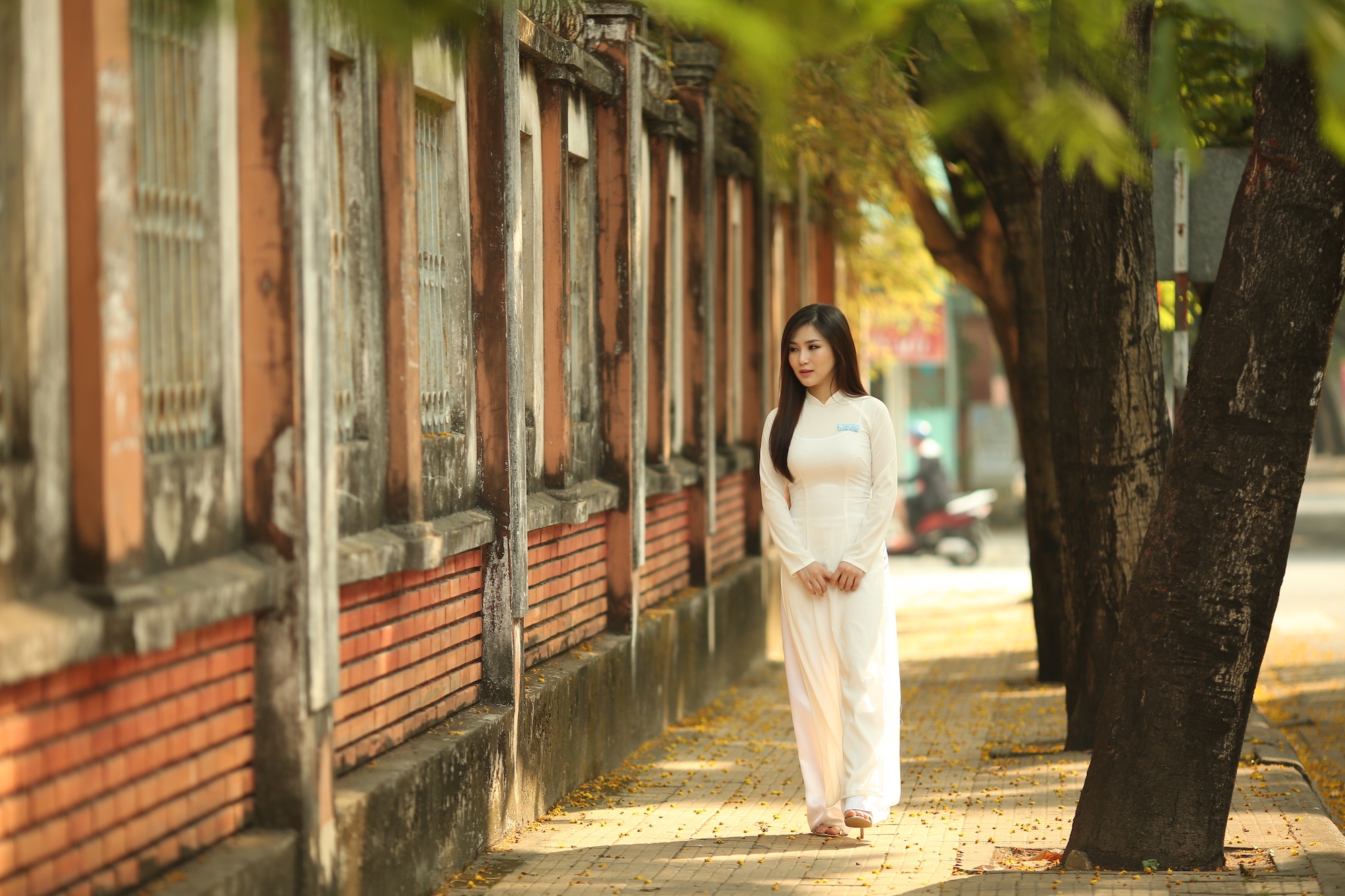 huong tram hat nhac phim em gai mua anh 2