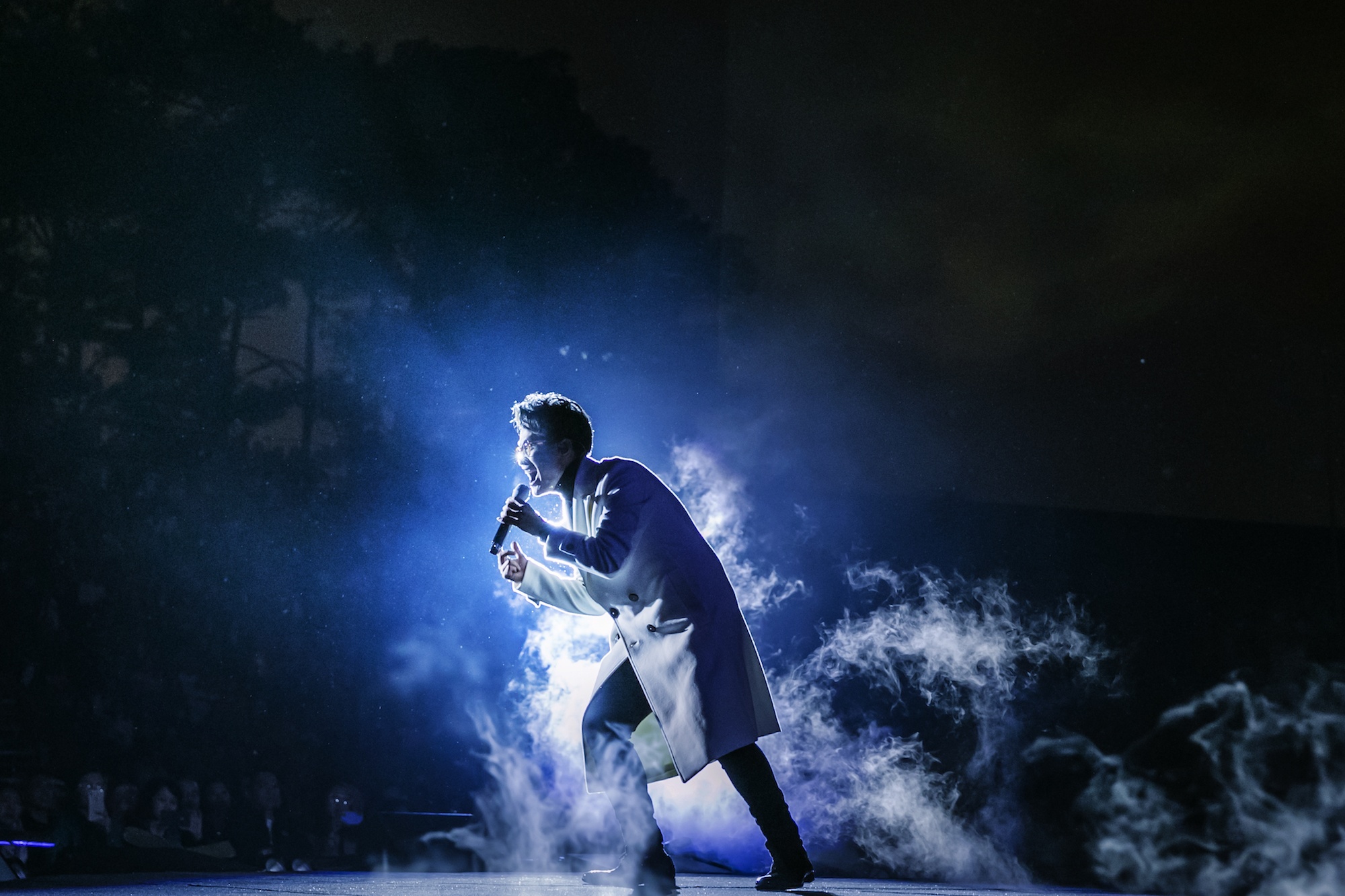 dem nhac thang hoa cua ha anh tuan anh 13