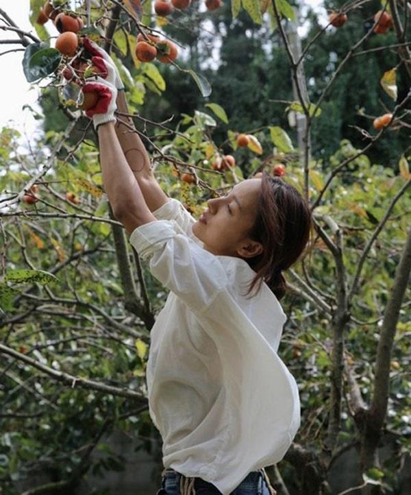 lee hyori hôn nhân hạnh phúc ảnh 8 lee hyori hon nhan hanh phuc anh 8