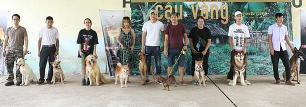 phim cau vang gay tranh cai anh 1