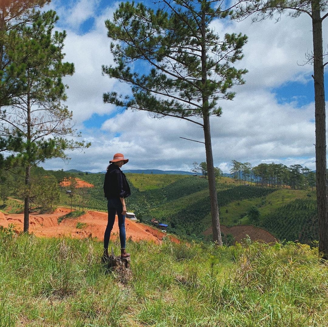 ha tang gay go dang bao dong anh 8