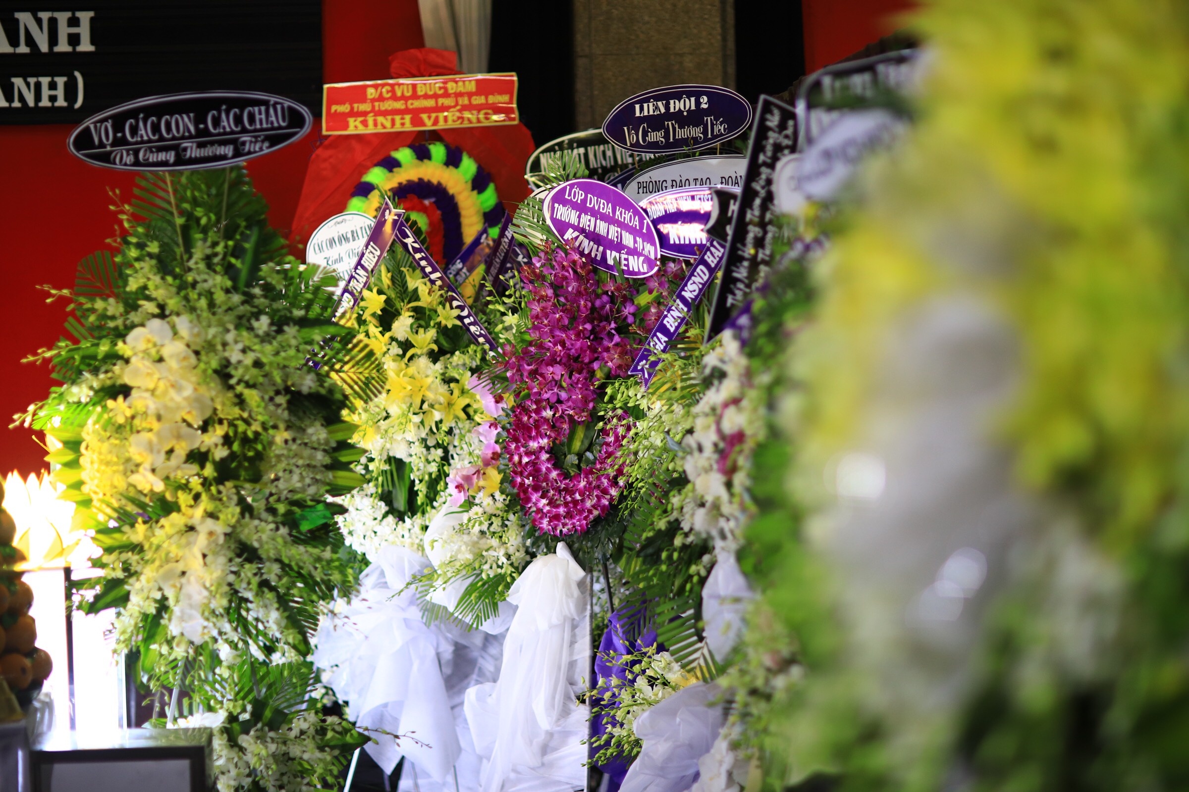 dam tang nsnd the anh anh 6