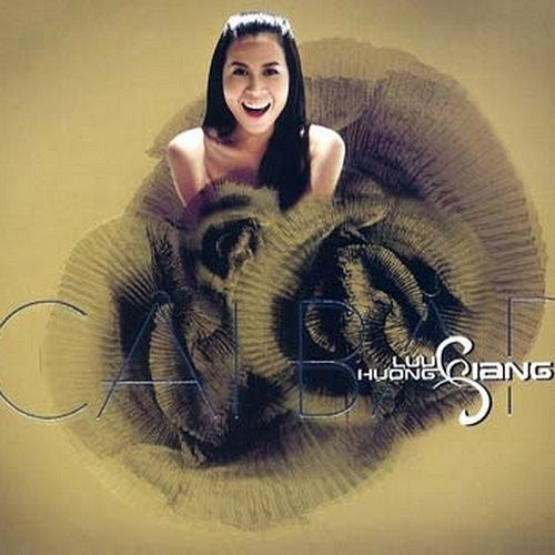 sự nghiệp lưu hương giang ảnh 2 su nghiep luu huong giang anh 2