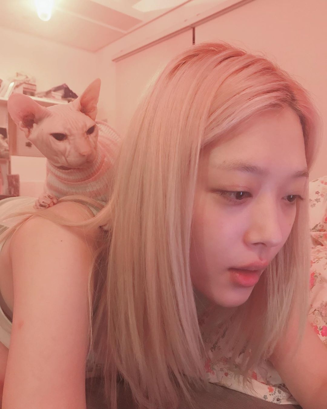 sulli qua đời ảnh 45 sulli qua doi anh 45