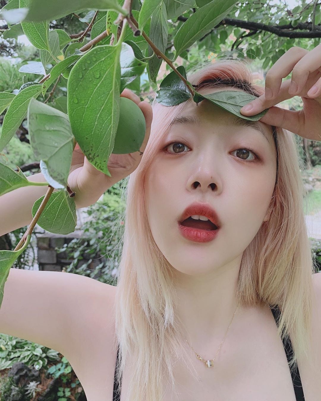 sulli qua đời ảnh 46 sulli qua doi anh 46