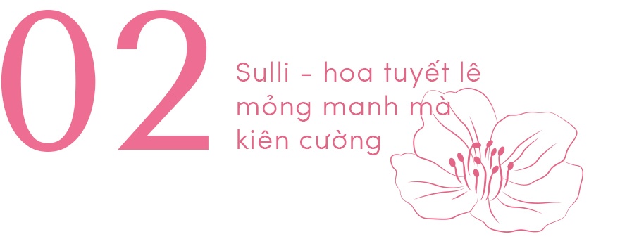 Sulli qua đời ảnh 11 Sulli qua doi anh 11