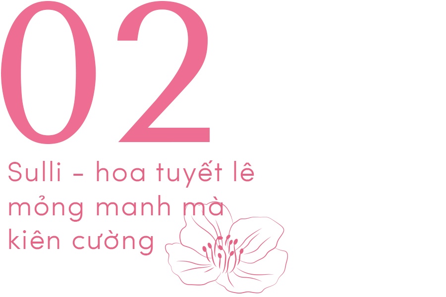 Sulli qua đời ảnh 10 Sulli qua doi anh 10