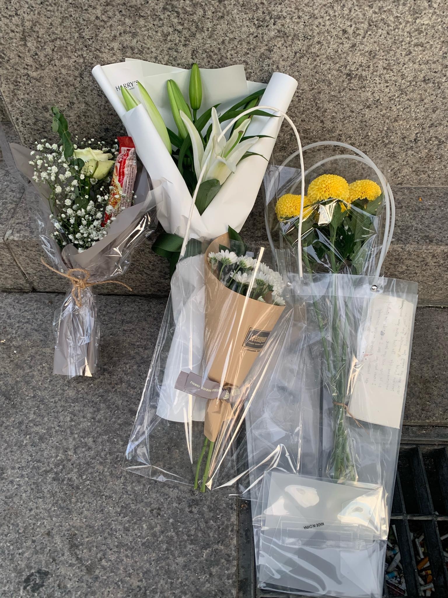 sulli qua doi,  sulli chet anh 5