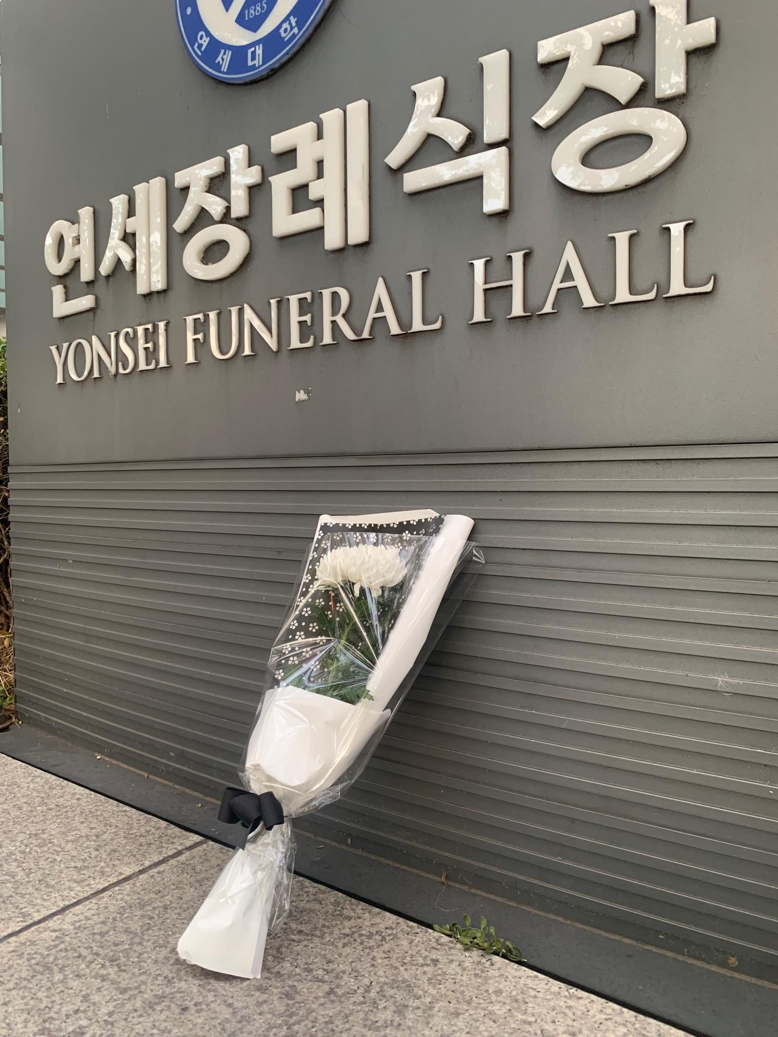 sulli qua doi,  sulli chet anh 4