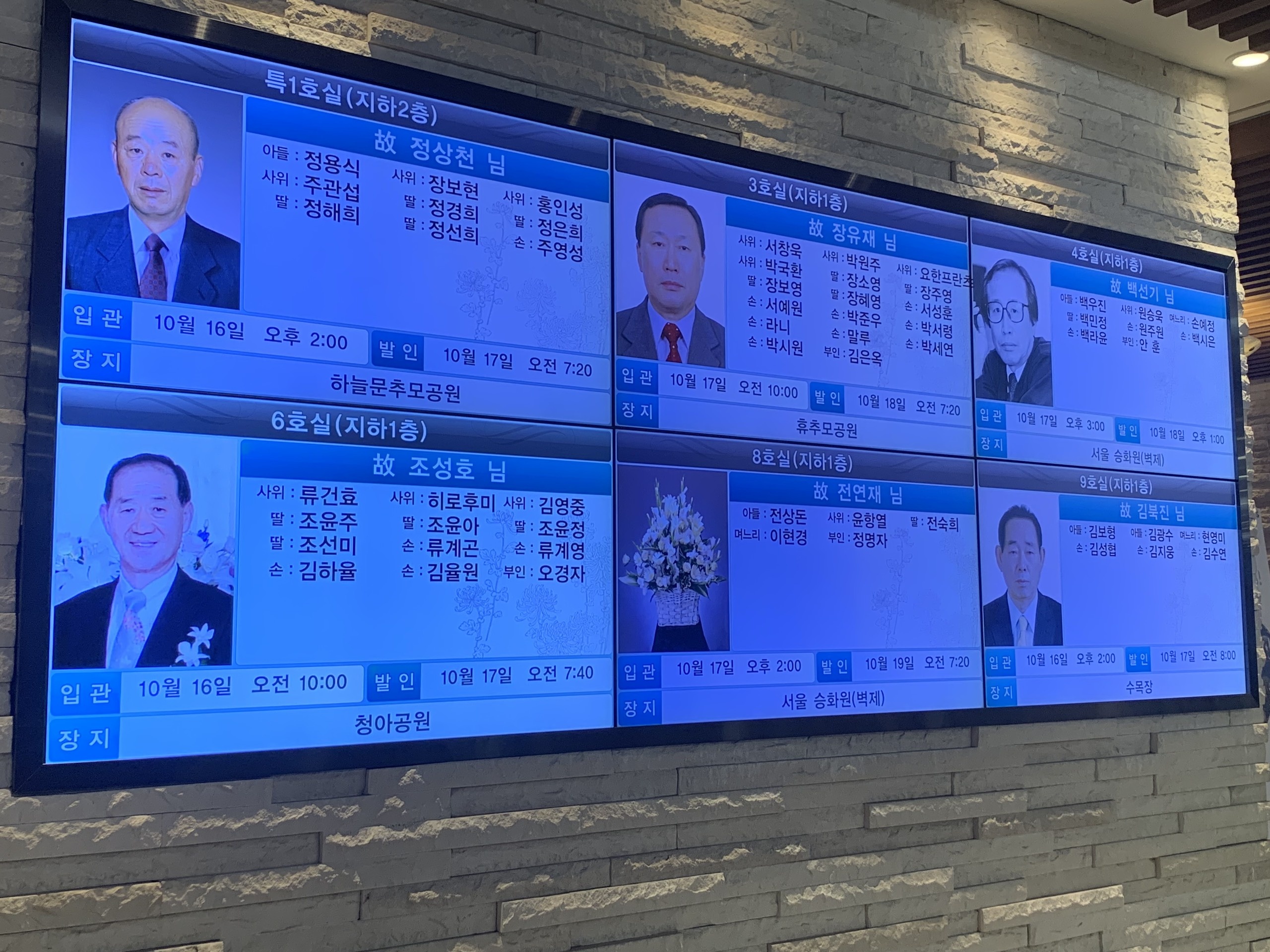 sulli qua doi,  sulli chet anh 7