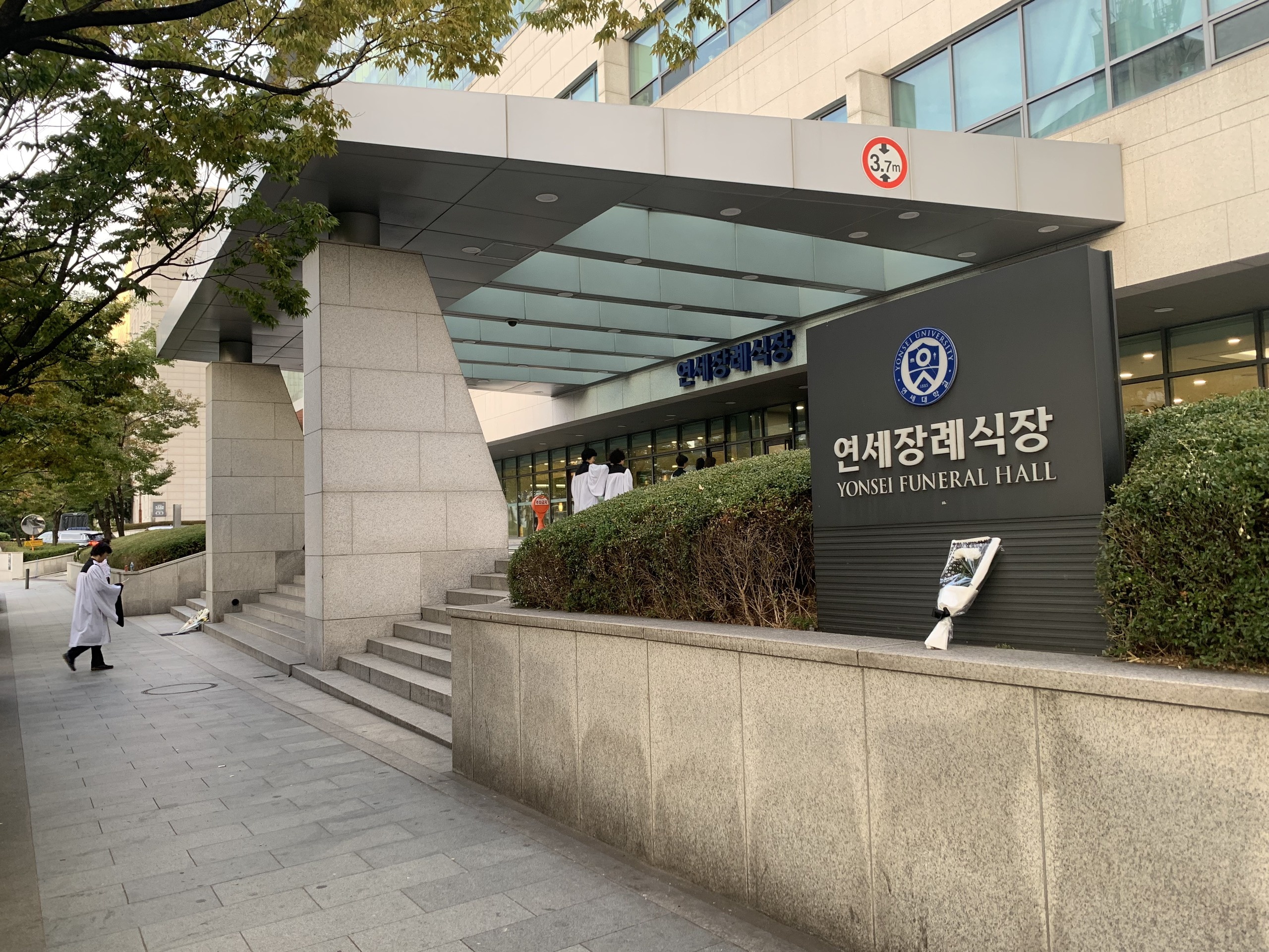 sulli qua doi,  sulli chet anh 3