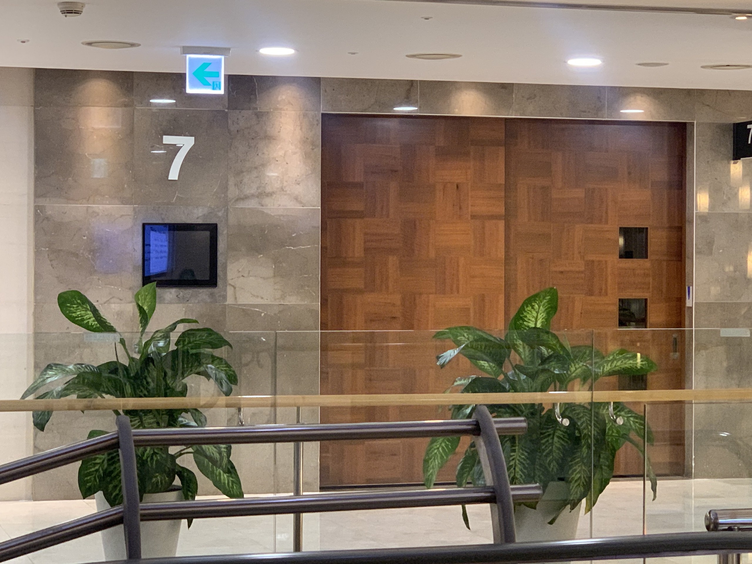 sulli qua doi,  sulli chet anh 8