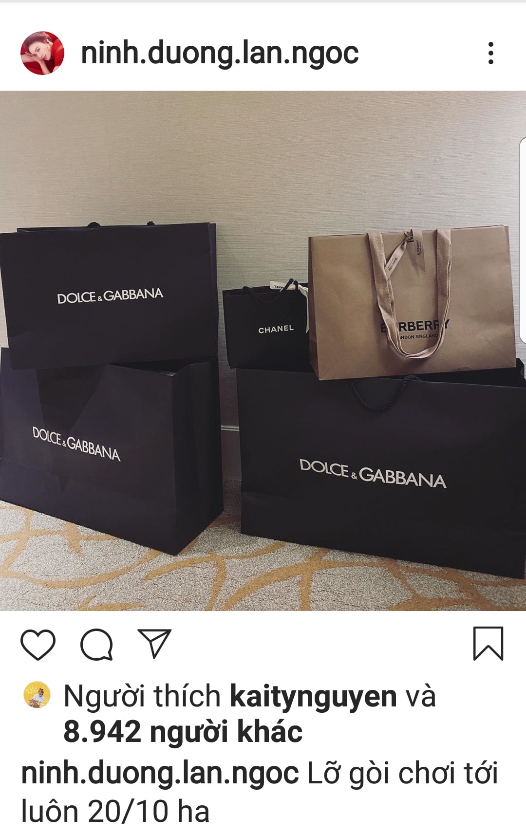 ninh duong lan ngoc mua hang hieu anh 2