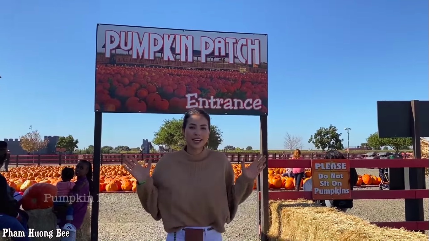 pham huong vi pham quy dinh noi cong cong anh 1