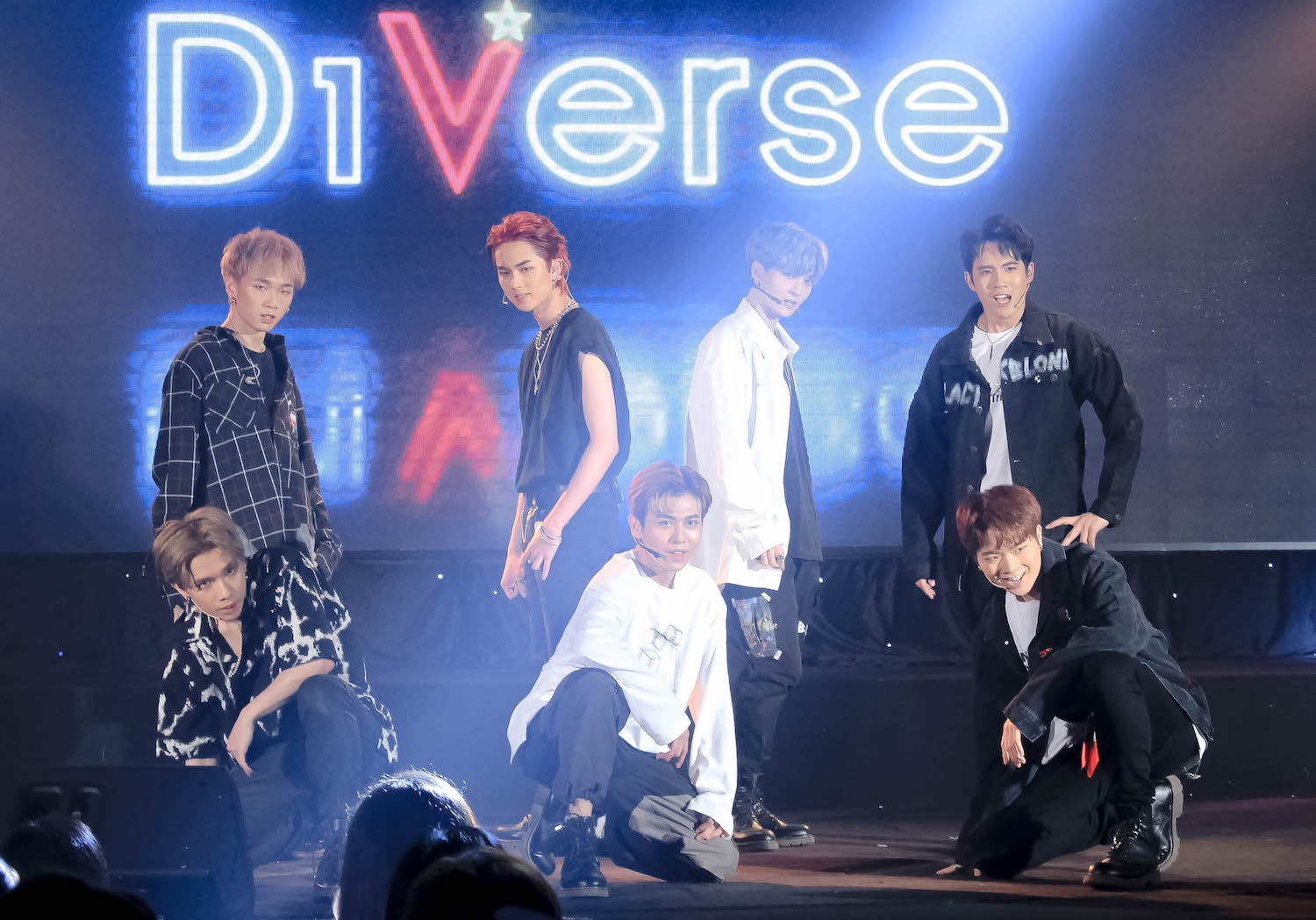 D1verse loai thanh vien anh 1