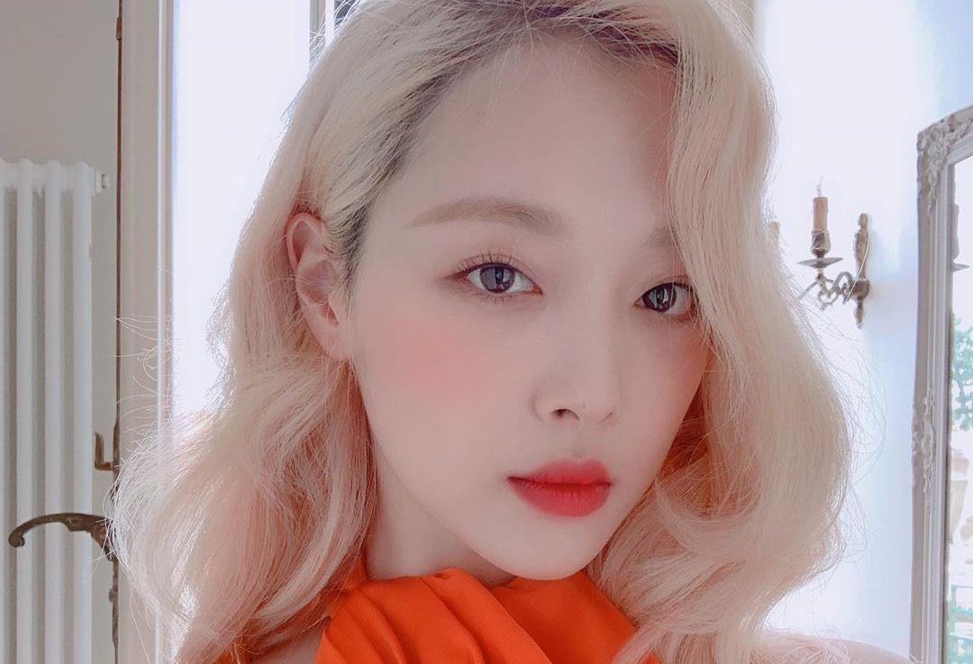 Chinh phu Han Quoc ban ve ban hanh Dao luat Sulli hinh anh