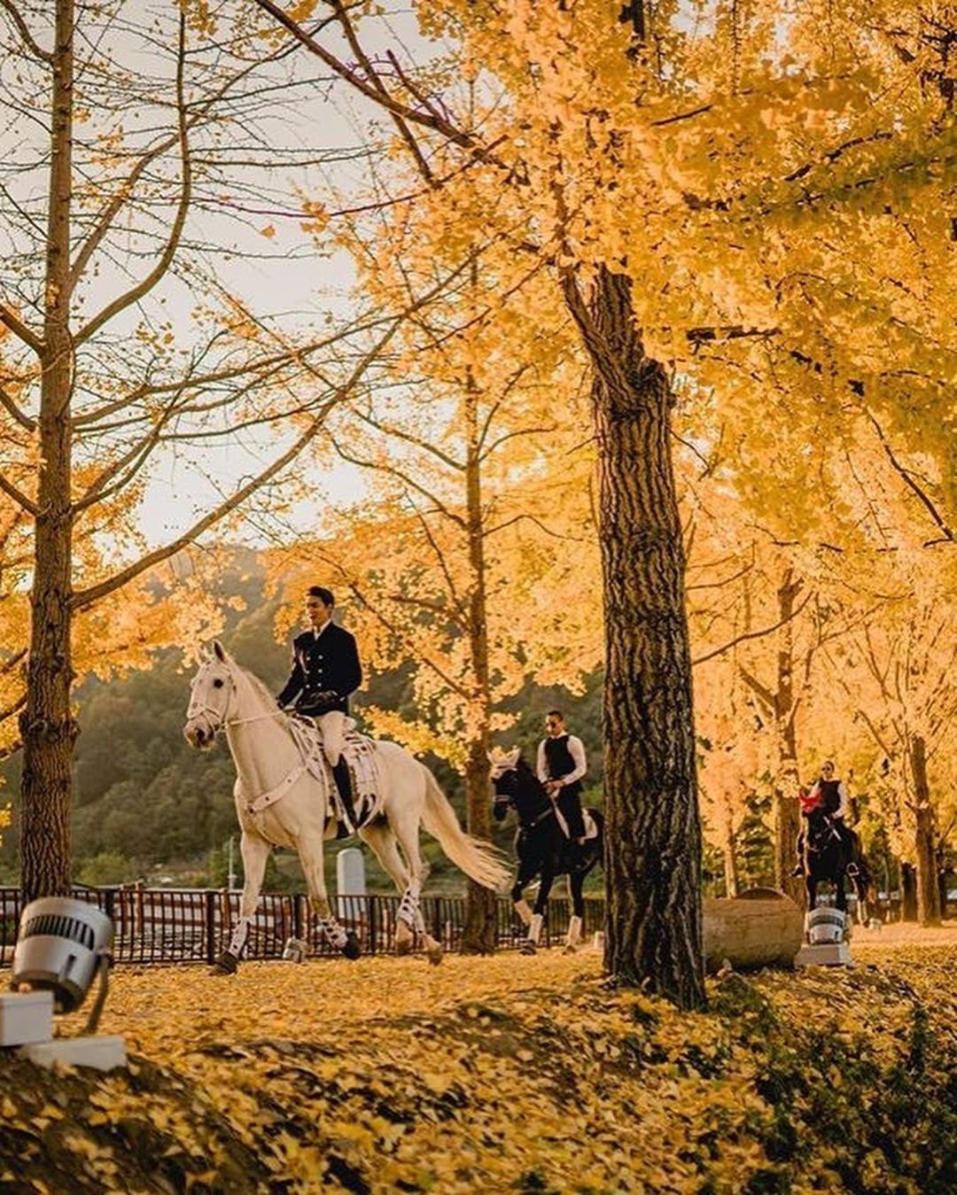 lee min ho dien trai anh 17