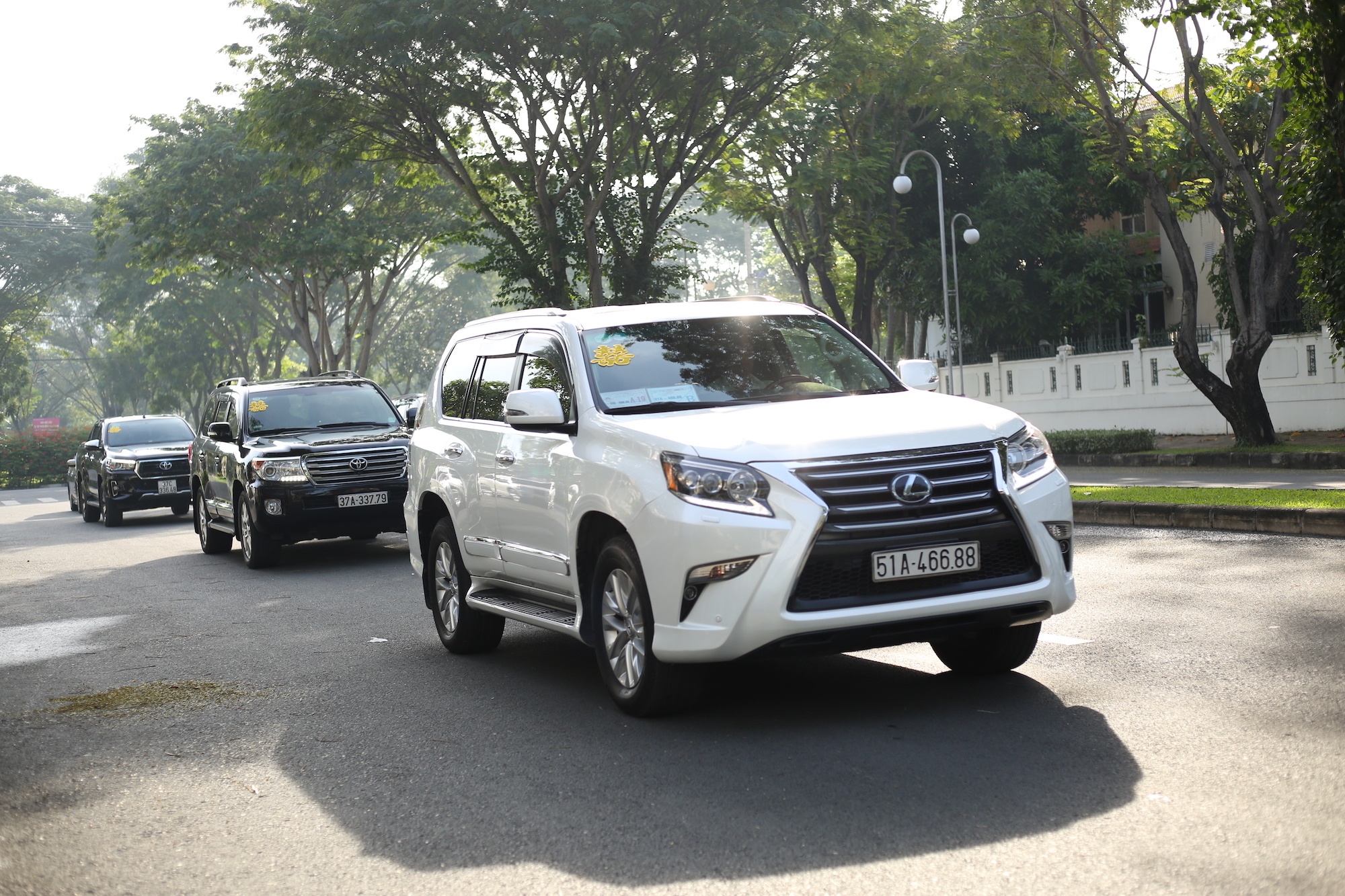 bao thy dam cuoi anh 9