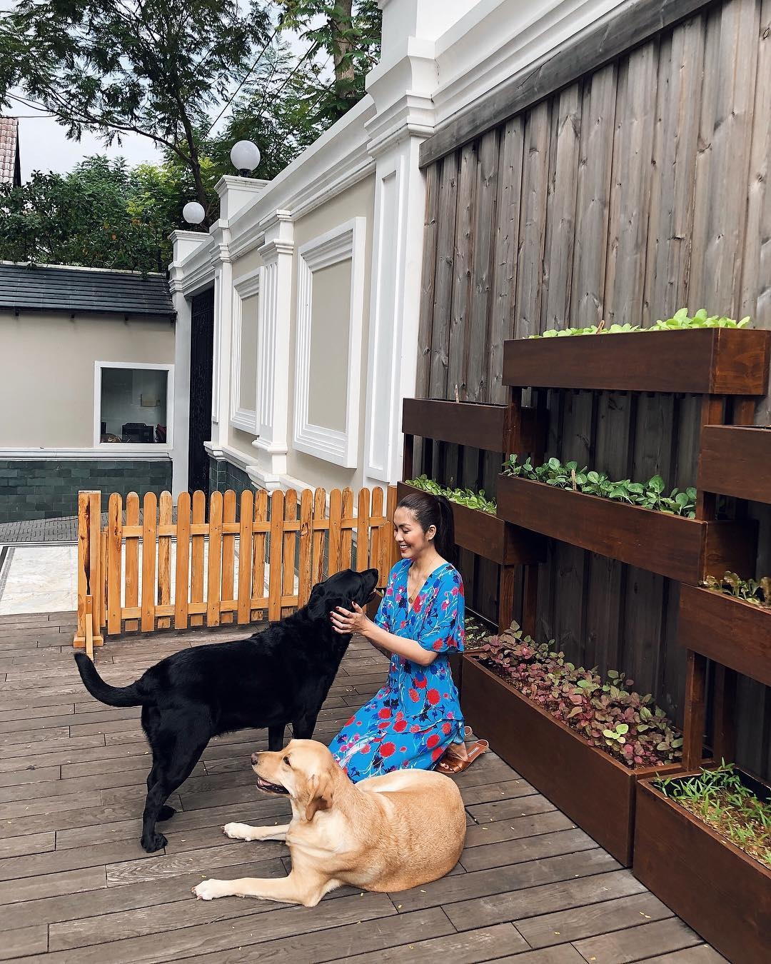 nha tang thanh ha anh 13