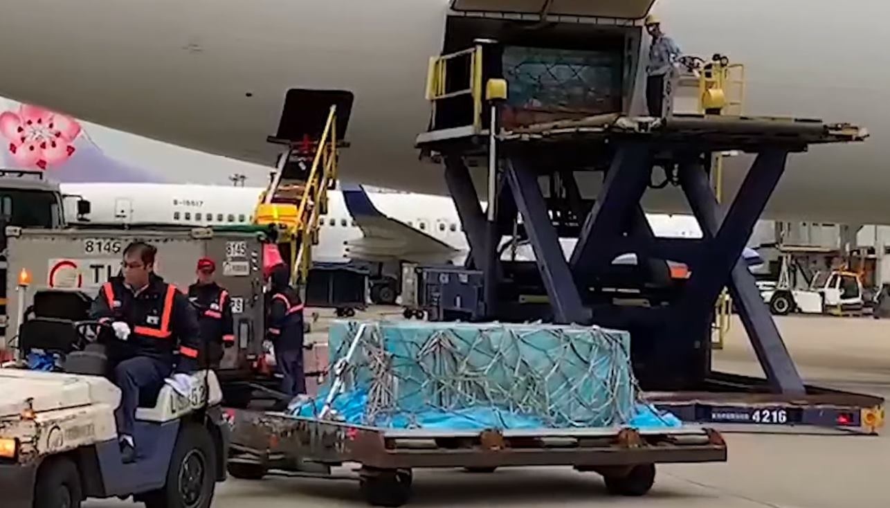 May bay cho thi the Cao Di Tuong ve toi Dai Loan hinh anh