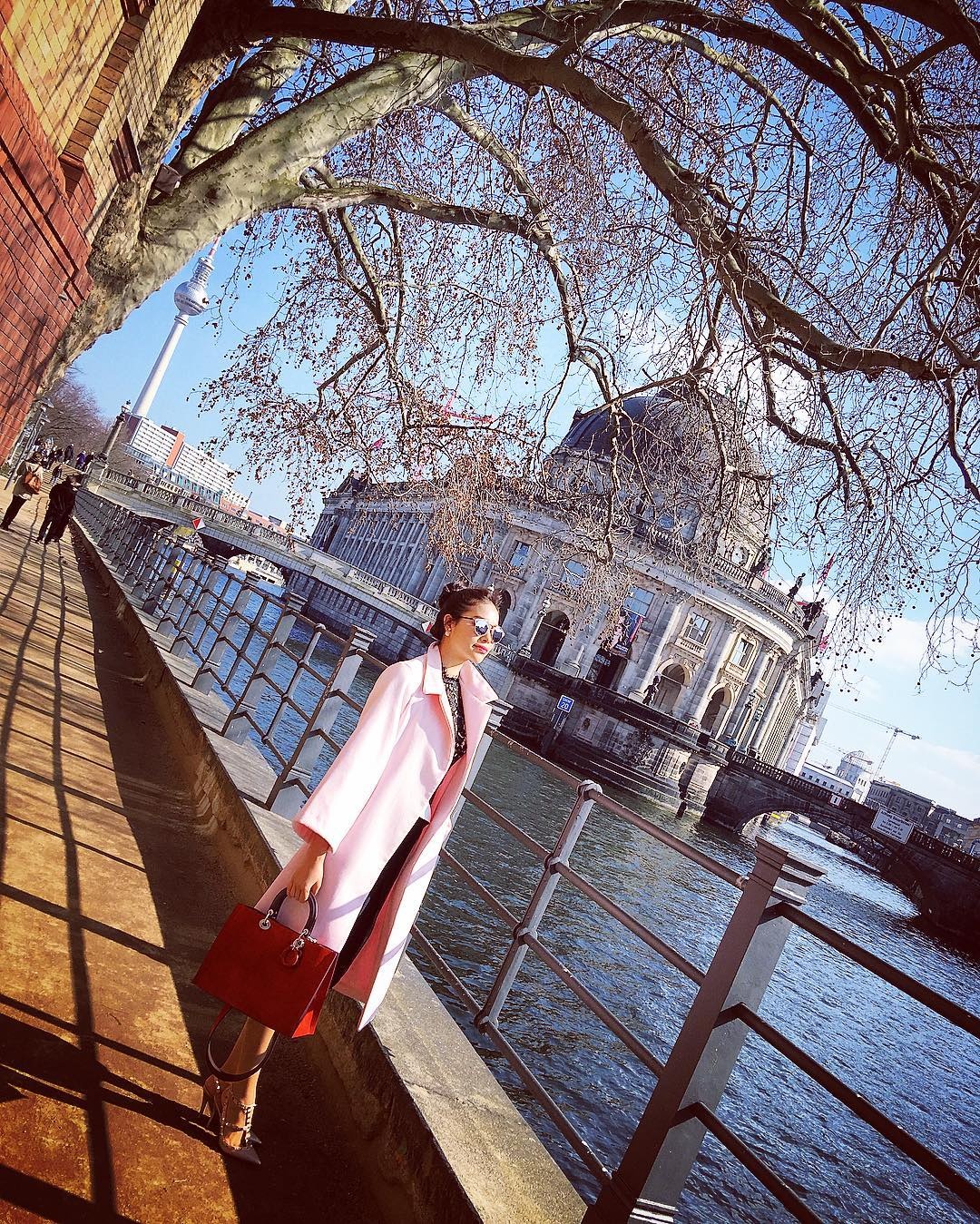 hoa hau hoan vu viet nam anh 52