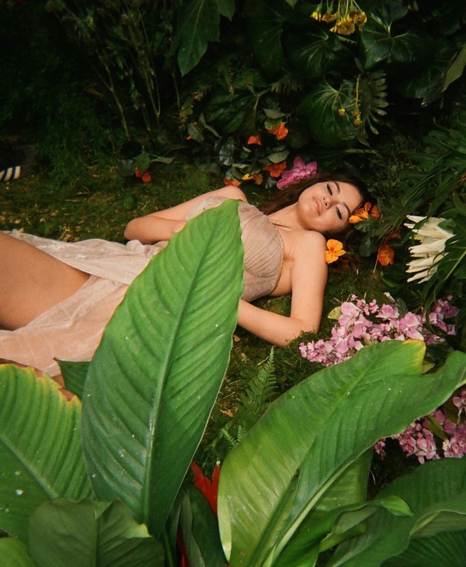 nhan sắc selena gomez ảnh 13 nhan sac selena gomez anh 13