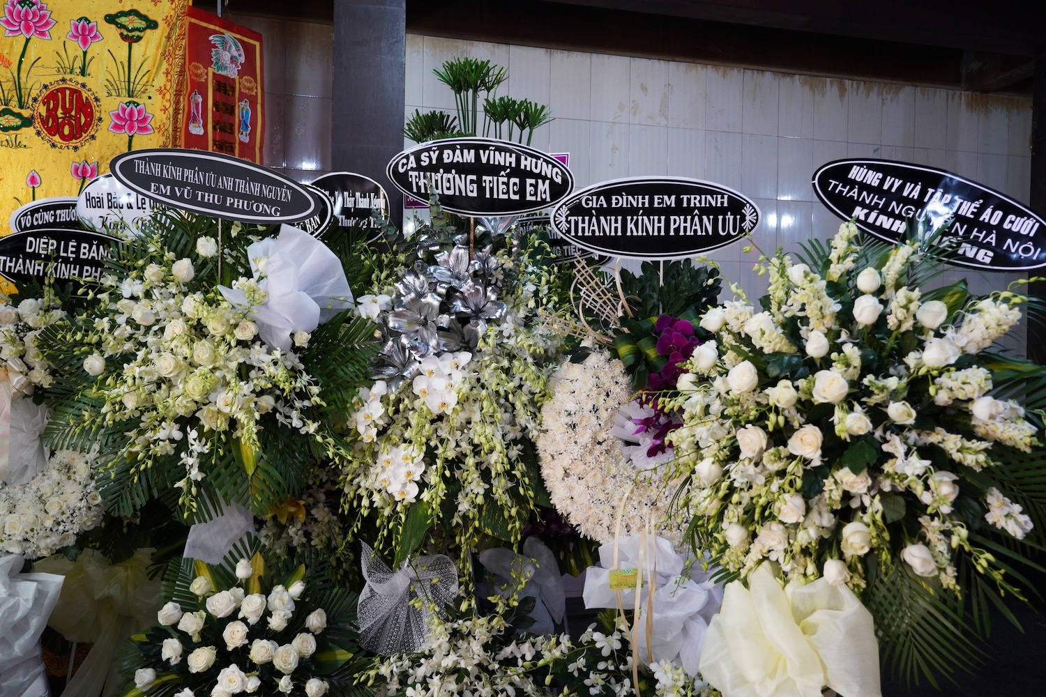 cuu thanh vien mtv qua doi anh 2