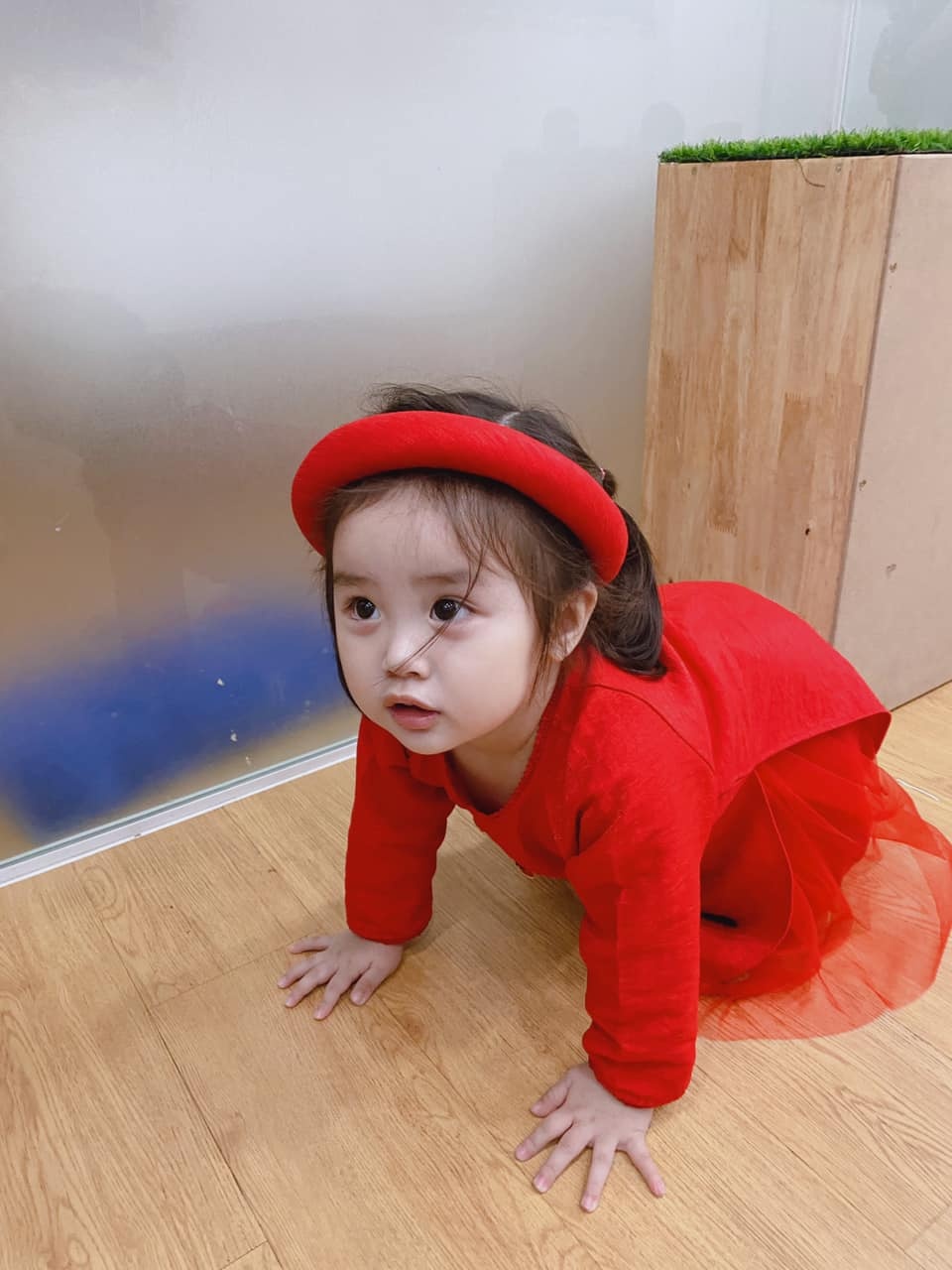 sao viet chuan bi tet anh 3