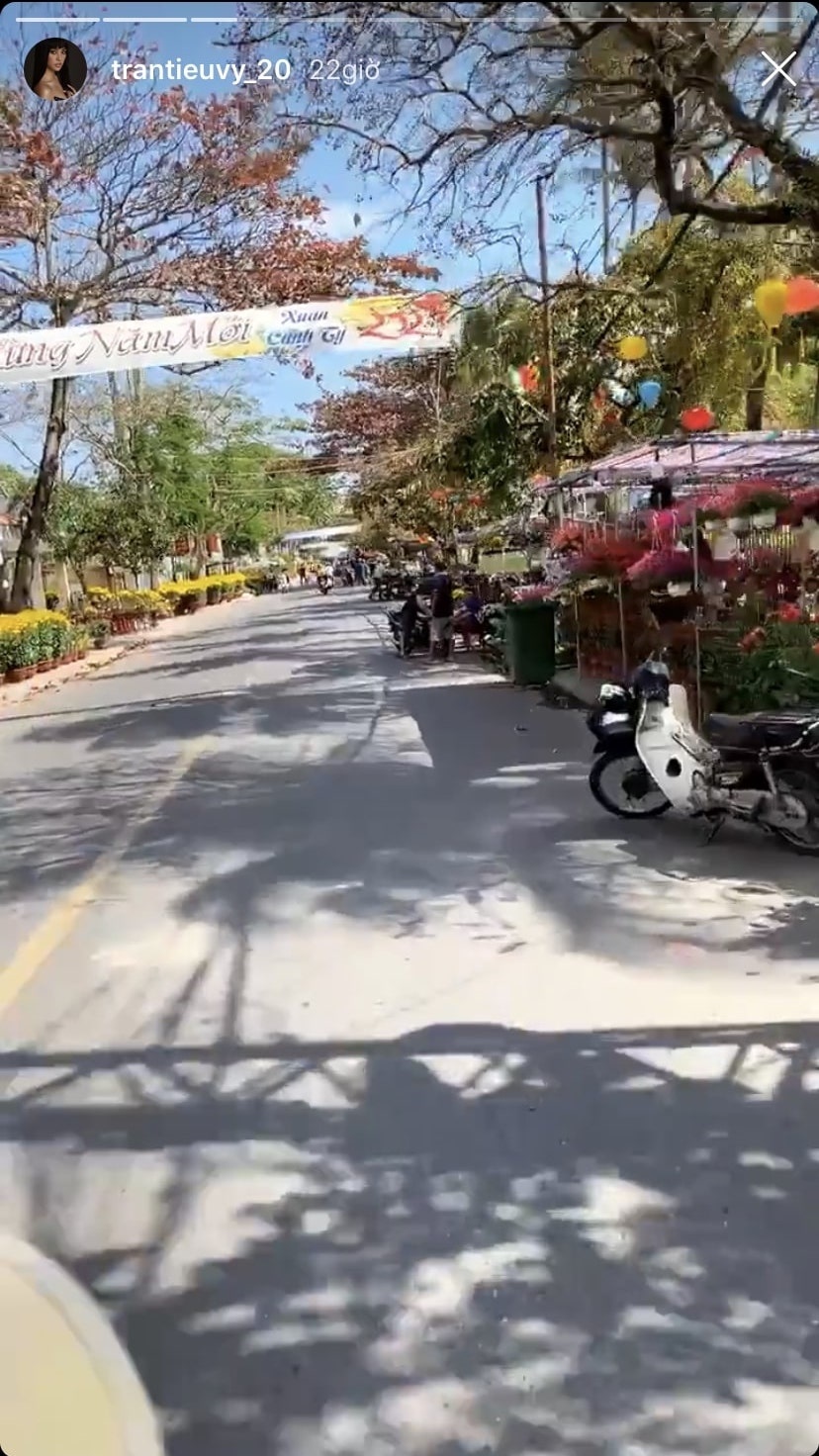 sao viet tet nguyen dan anh 10