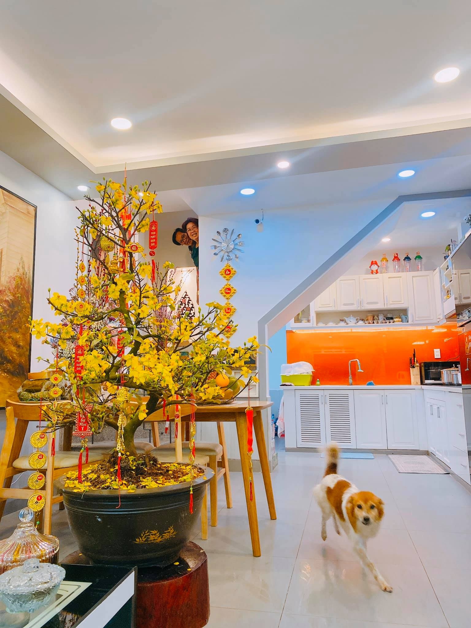 hoa hau khanh van don tet anh 3