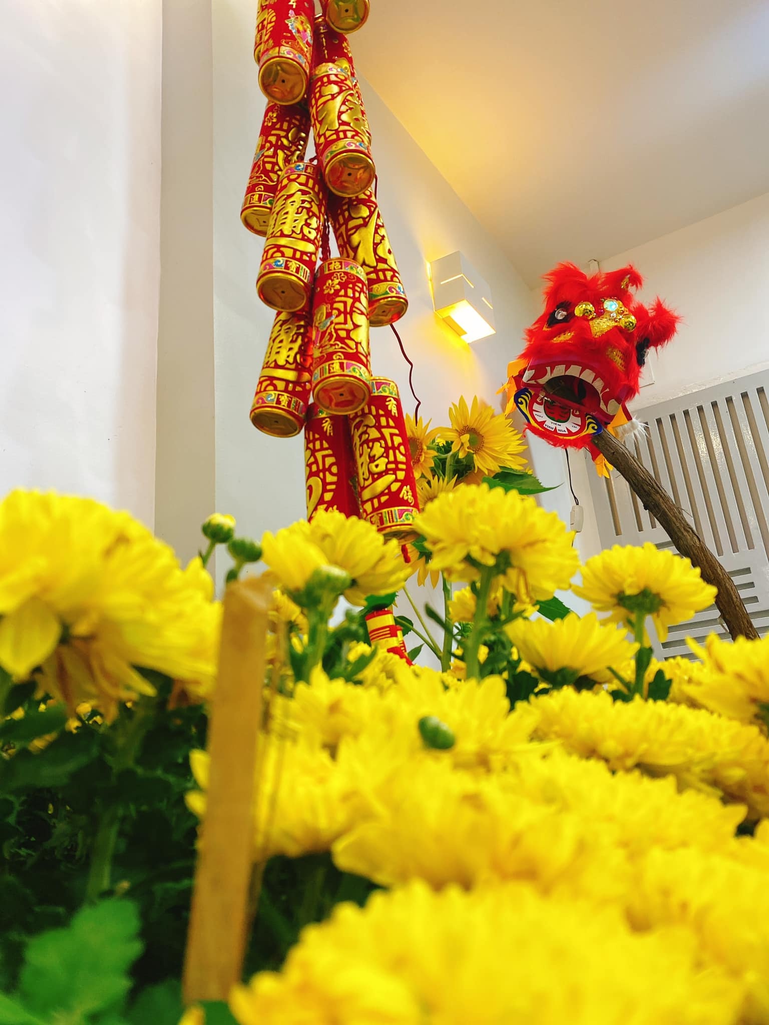 hoa hau khanh van don tet anh 4