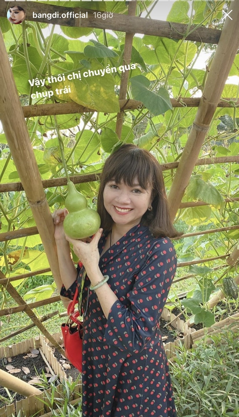 mẹ sao việt ảnh 5 me sao viet anh 5