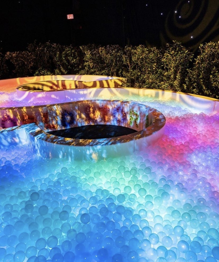 sinh nhat con gai kylie jenner anh 10