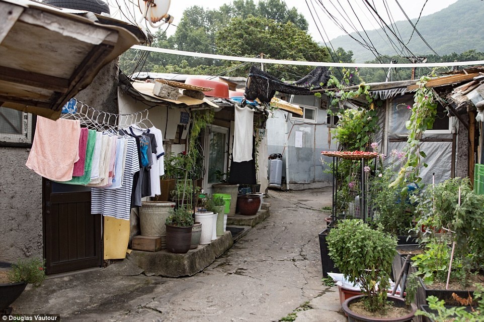 khu o chuot guryong anh 6