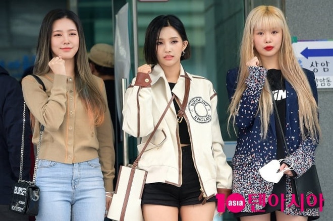 sao han bo phieu anh 11