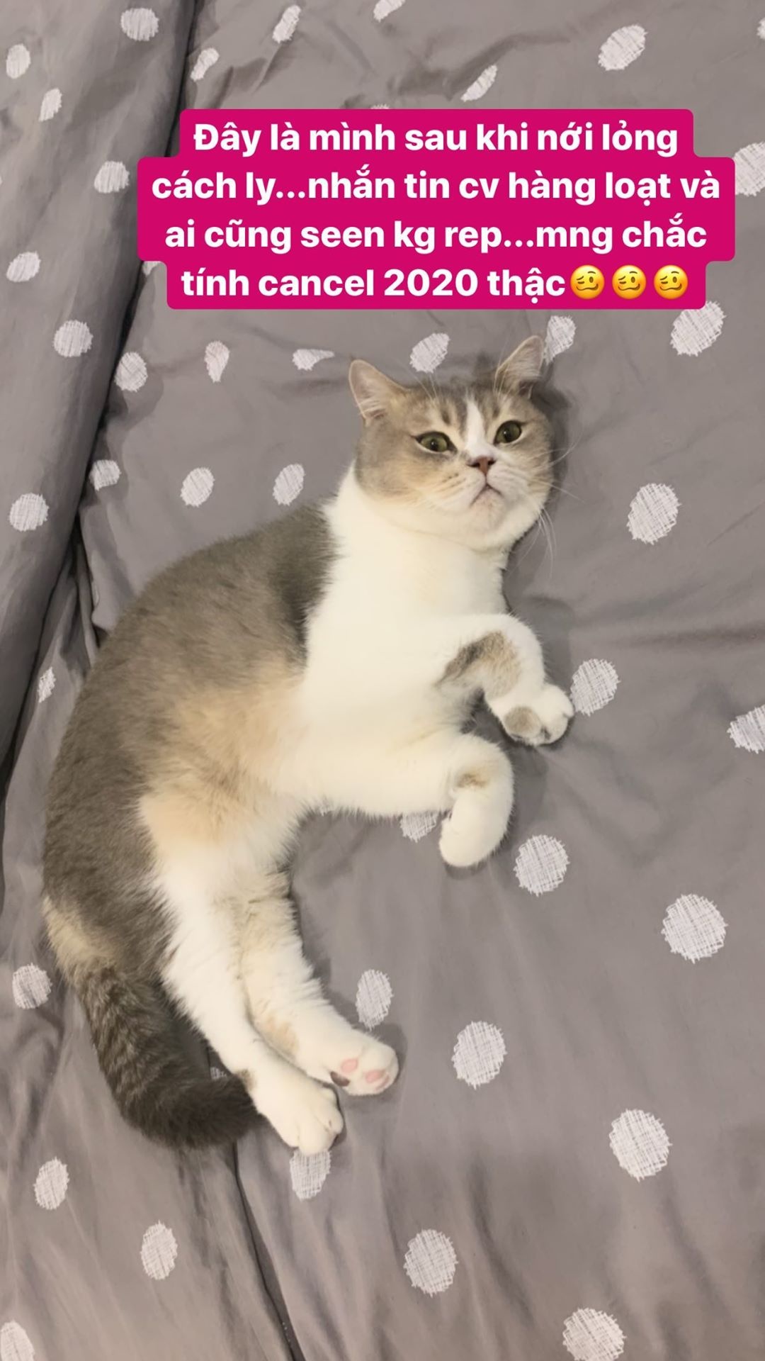 sao viet ngay dau sau cach ly anh 2