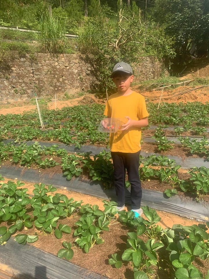 sao việt nghỉ lễ 30/4 1/5 ảnh 12 sao viet nghi le 30/4 1/5 anh 12