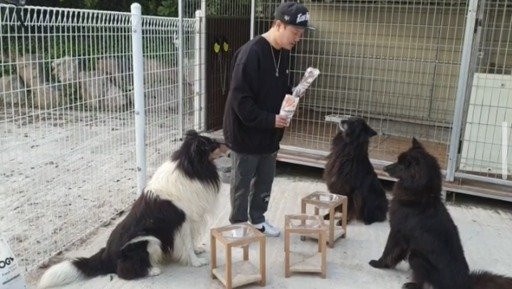 cho cua dien vien han can bi thuong nguoi anh 1