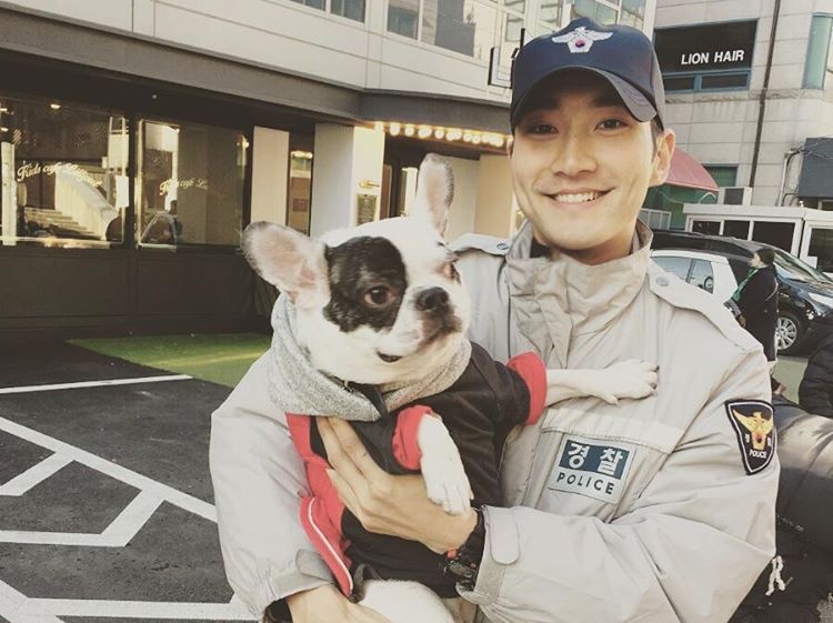 cho cua dien vien han can bi thuong nguoi anh 2