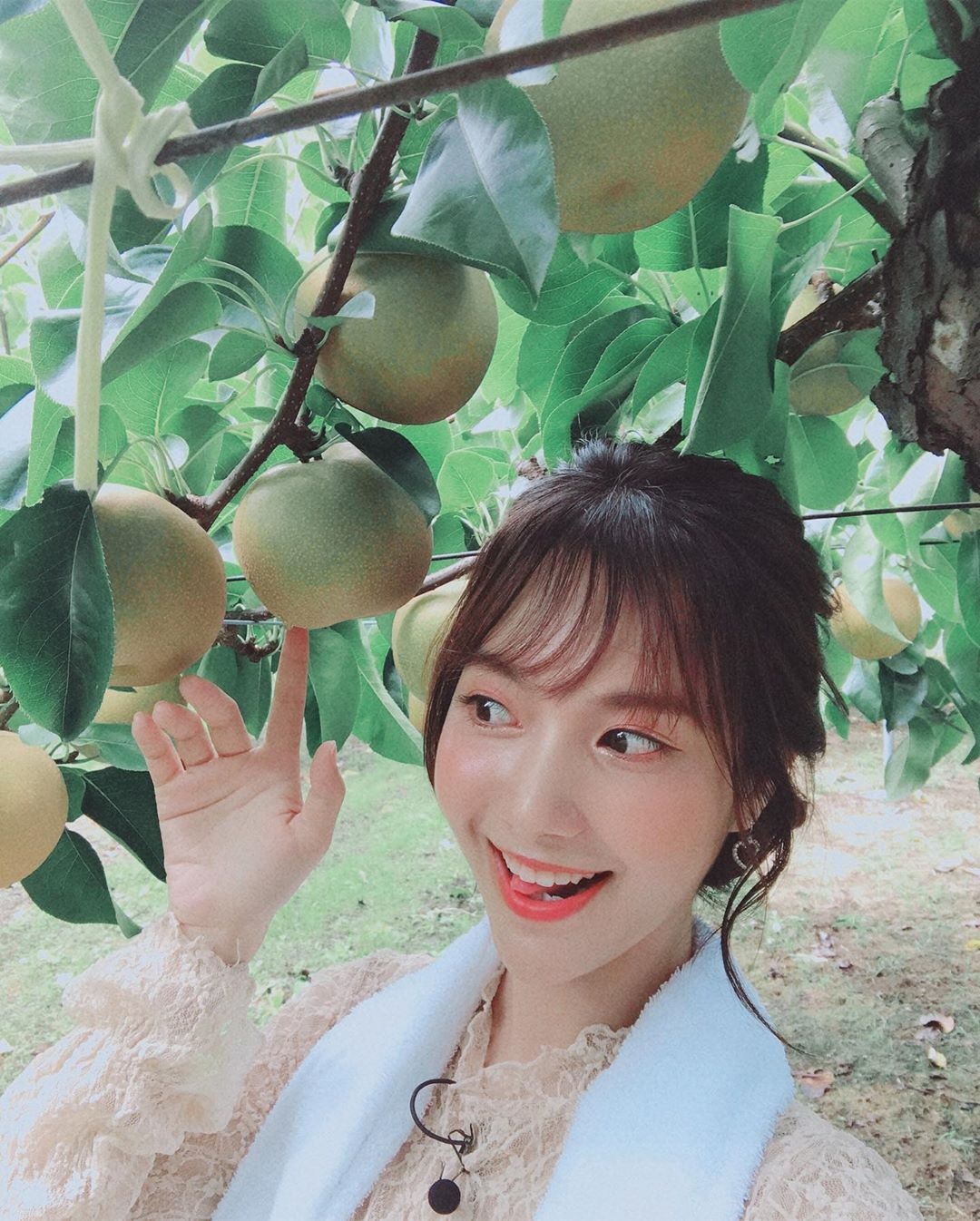 jang mi vang bong showbiz anh 4