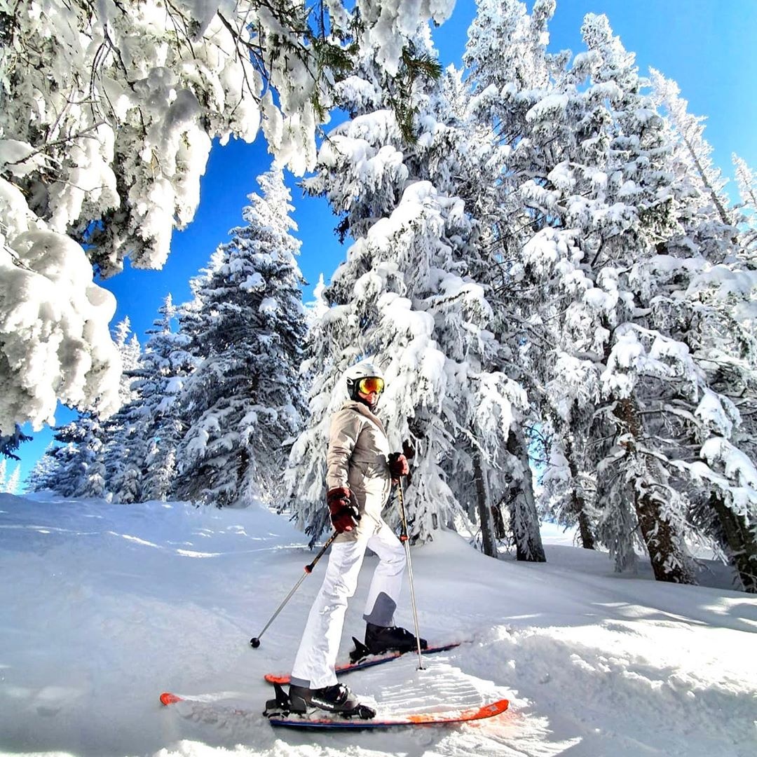 hoa hau colombia cua chan anh 16