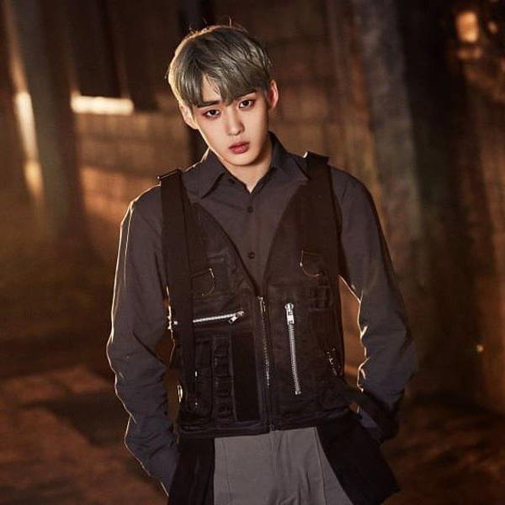 nhom nhac tan ra vi covid-19 anh 6