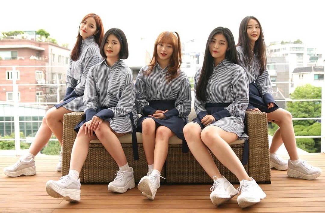 nhom nhac tan ra vi covid-19 anh 2