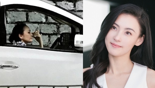 Me Truong Ba Chi lai taxi muu sinh hinh anh