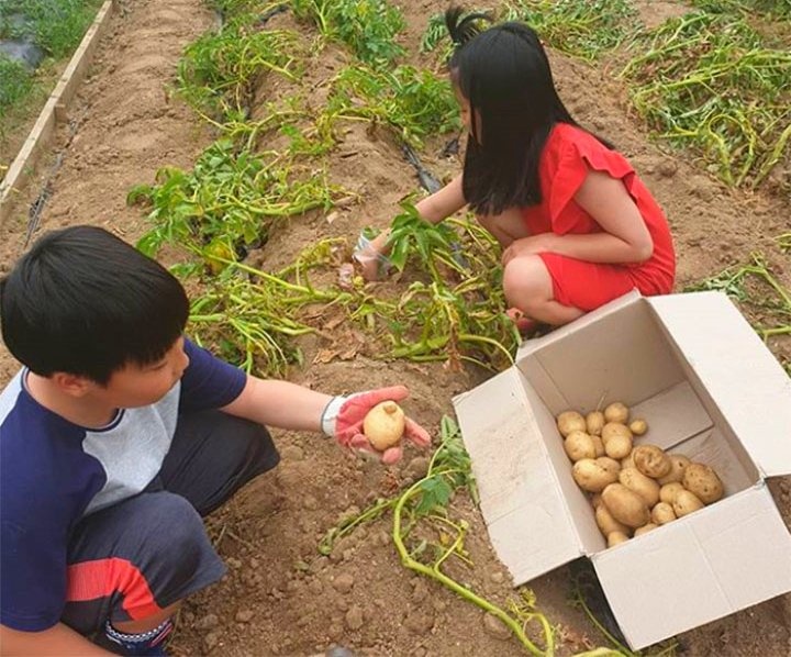 cuoc song lee young ae sau khi ket hon anh 4