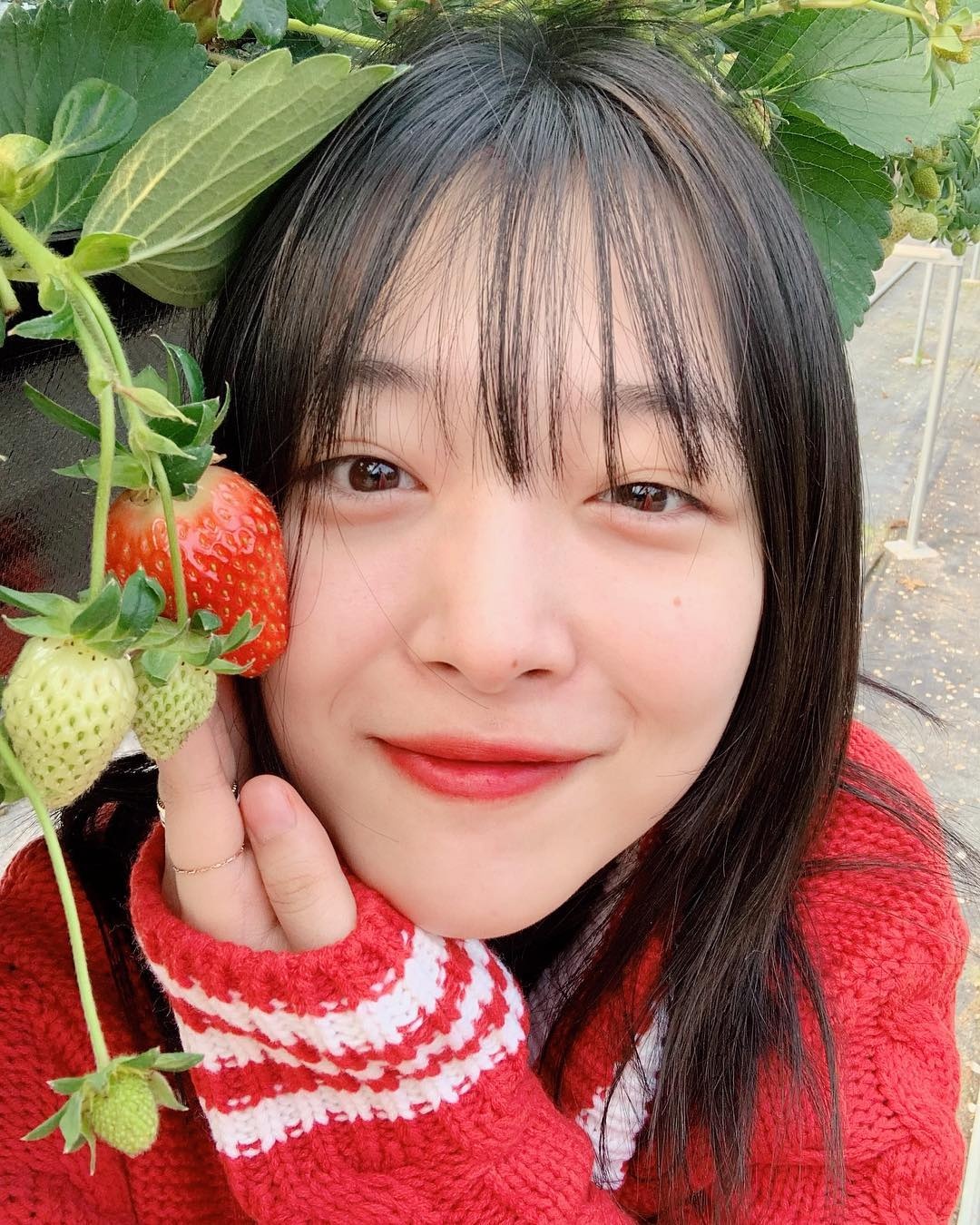 phim tai lieu ve sulli anh 7