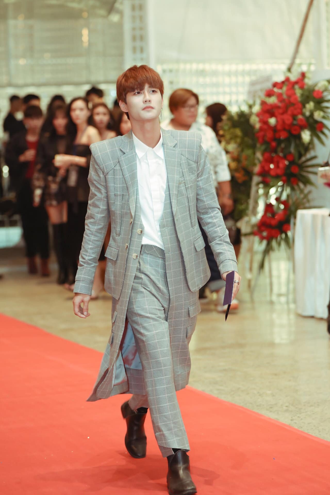 avin lu dong trinh cong son anh 13